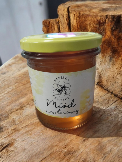 Miód nawłociowy w słoiku 450g