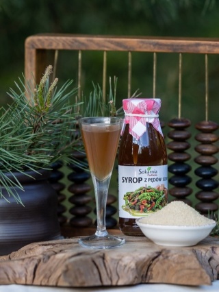 Naturalny syrop z pędów sosny 250ml