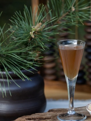 Naturalny syrop z pędów sosny 250ml